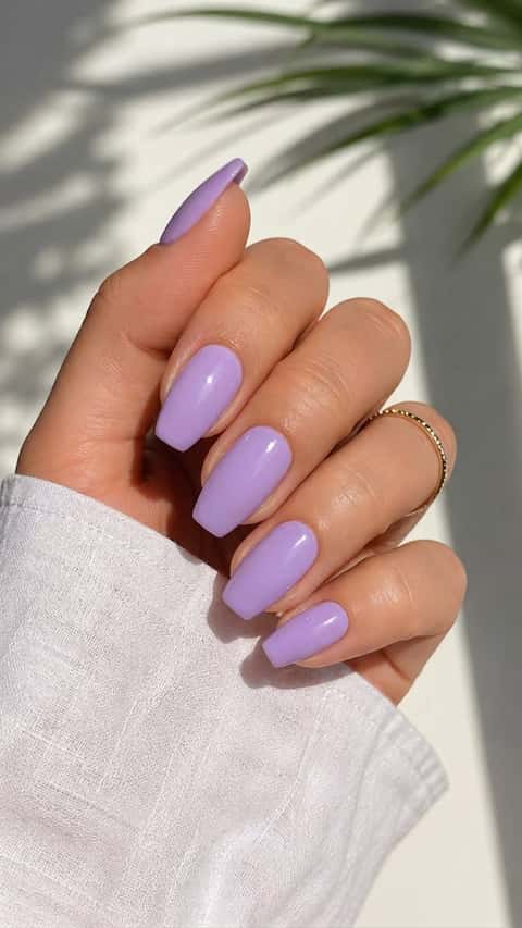 Lavender Mist