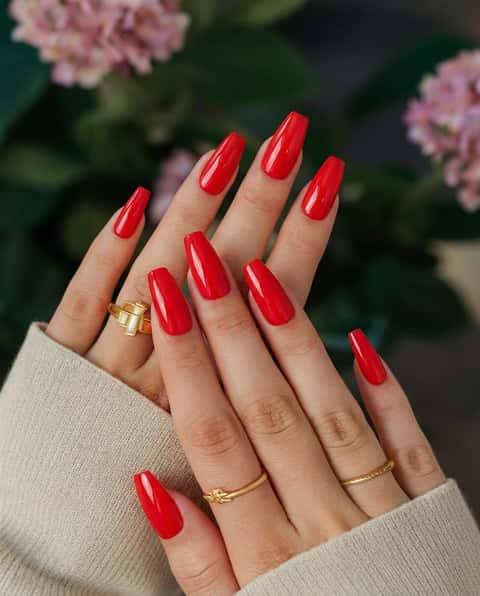 Cherry Rose